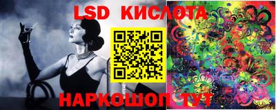 PSILOCYBIN Гусев
