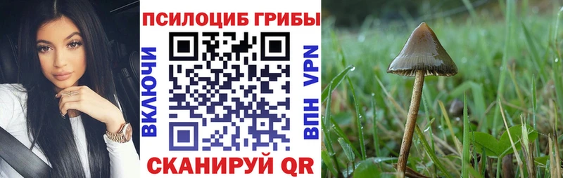 Галлюциногенные грибы GOLDEN TEACHER Курчатов