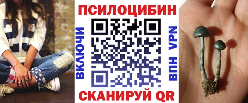 Псилоцибиновые грибы Psilocybine cubensis  Курчатов 