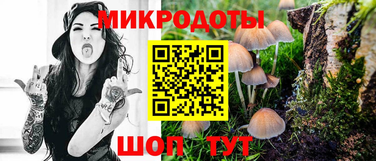 Псилоцибиновые грибы Magic Shrooms Курчатов
