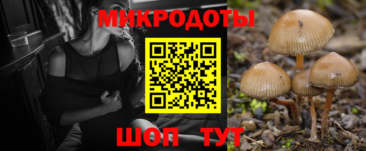 магазин    Вход с VPN  Псилоцибиновые грибы MAGIC MUSHROOMS  Курчатов  Галлюциногенные грибы Psilocybe 
